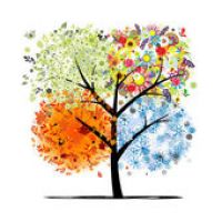 Обувь по сезонам Обувь по сезонам